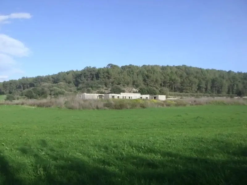 Rustic Finca in Algaida – Detached Single-Family Home Under Construction — photo 5