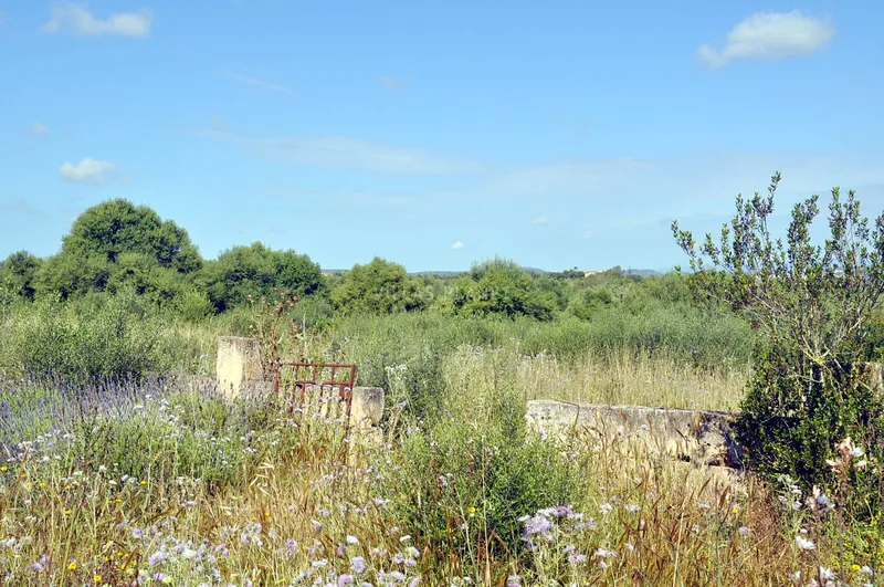Country plot with project — photo 7
