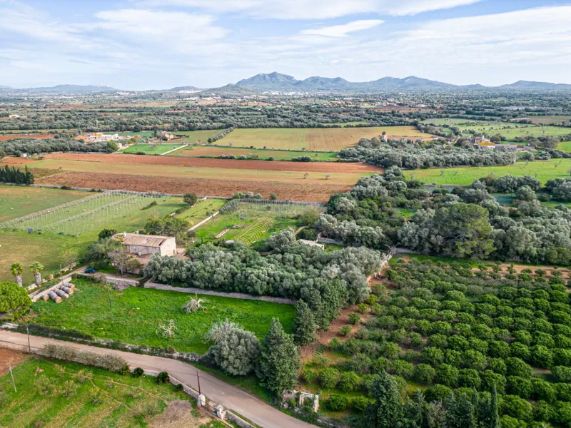 Magnificent rustic estate in the Porreres area — photo 6