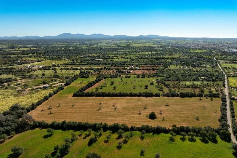 Spacious building plot with finca project and pool house near Campos — photo 10