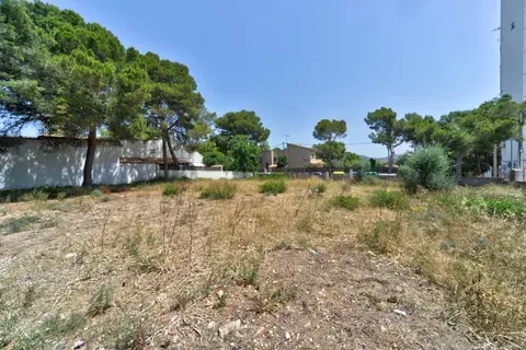 Land in Palmanova, Mallorca — photo 1