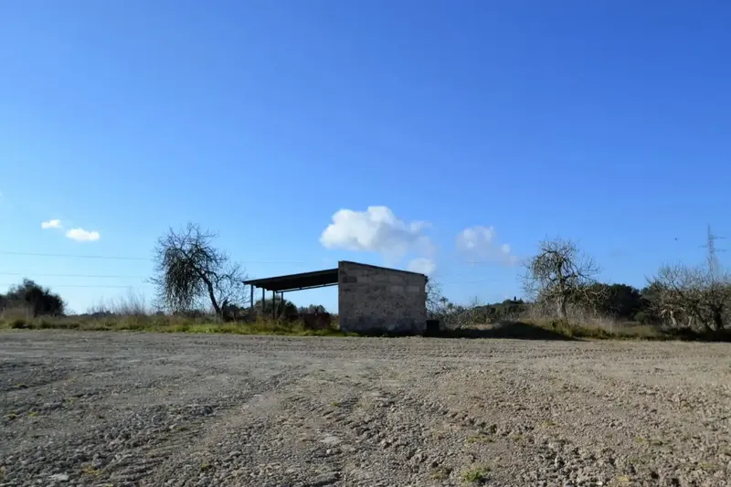 Plot of more than 25000 m2 in Llubí — photo 3