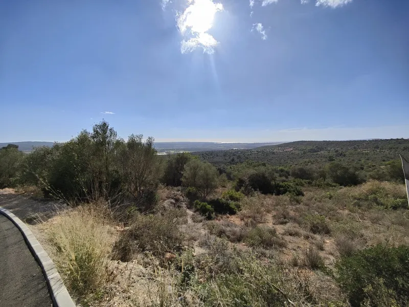 Plot with sea views in Palma — photo 3
