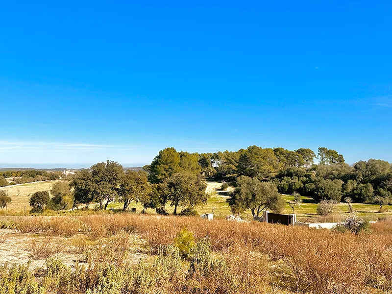 Building plot with marvellous views and project — photo 6