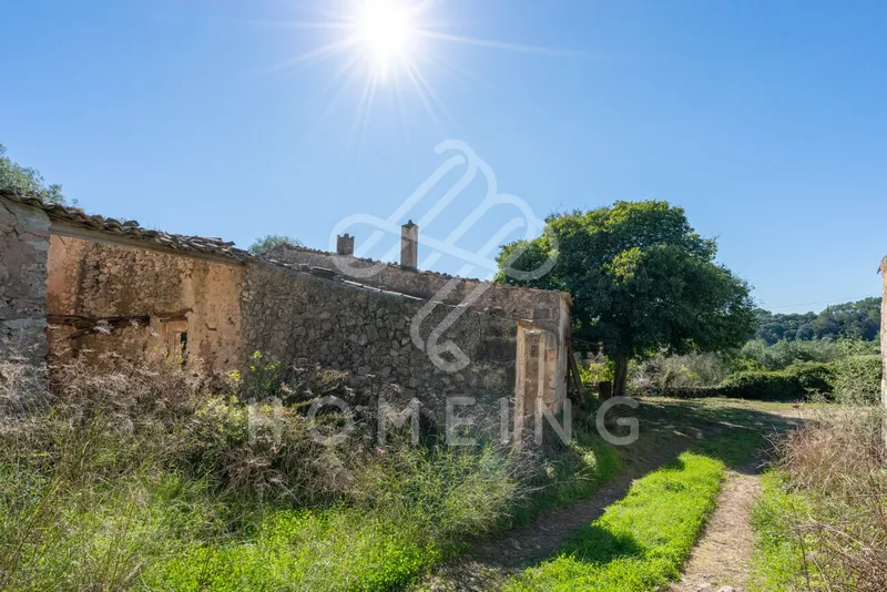 Rustic estate of 252,000 m2 from 1800, with house to renovate. — photo 3
