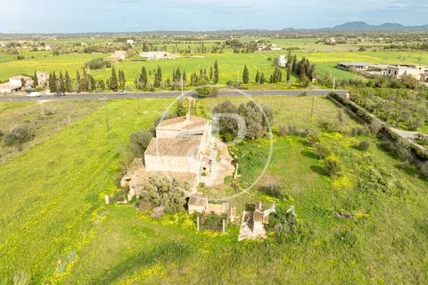 Farm house in Campos, Mallorca — photo 6