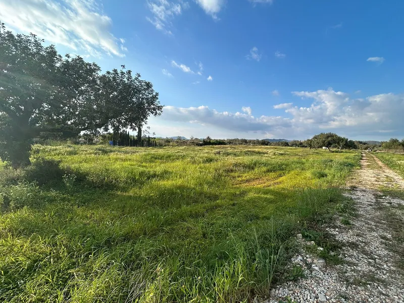 Quiet and well-located plot with project near Campos, towards Llucmajor — photo 1