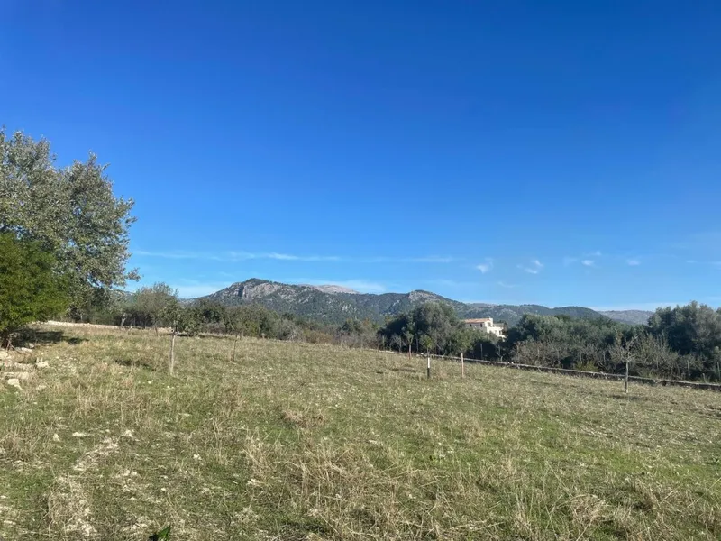 Country property for sale in Moscari — photo 12