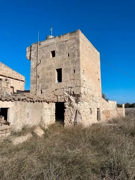 Finca to renovate, perfect for keeping animals — photo 9