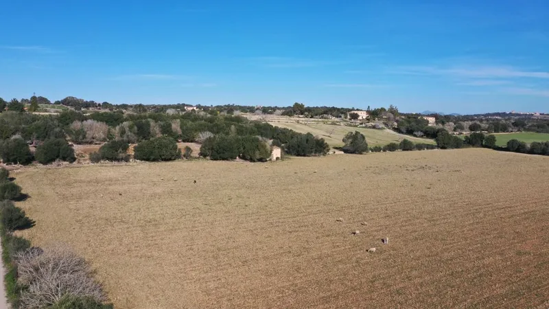Nice plot in a quiet area on the outskirts of Petra — photo 2
