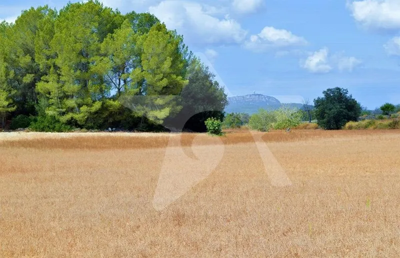 Exclusive building plot with large construction permits and 50 sqm pool — photo 3