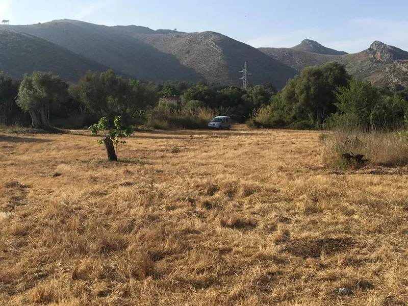 17,000 m2 plot in Capdepera with well and electricity — photo 1