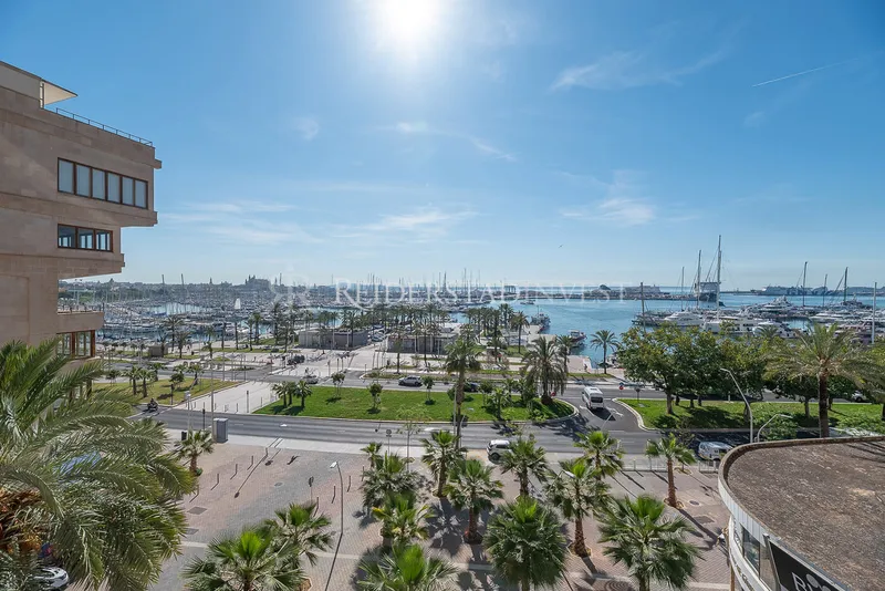 Palma - Paseo Maritimo — photo 6