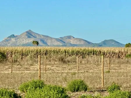 Fabulous building plot with project and building permits — photo 1