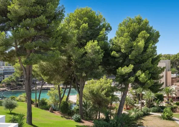Flat / apartment in Cala Vinyes, Calvià — photo 1