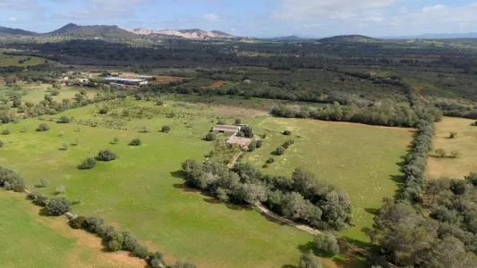House with land - Porreres (Outskirts) — photo 10
