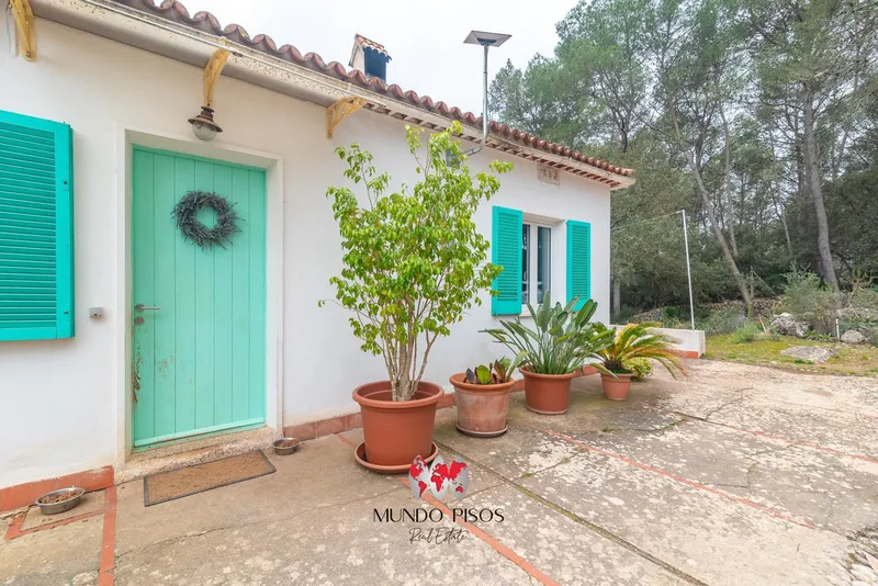 Beautiful rustic house in Algaida, surrounded by forest and nature! Mallorca, Balearic Islands — photo 11