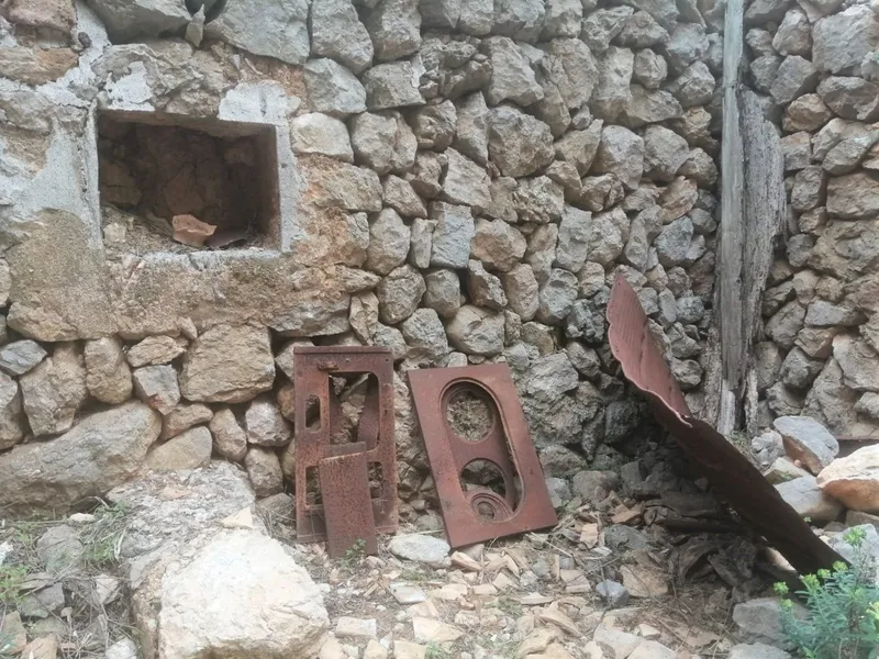 Olive grove in Barranc de Biniaraix — photo 8