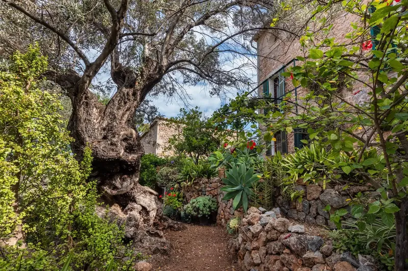 Family home with character and garden in Deià — photo 7