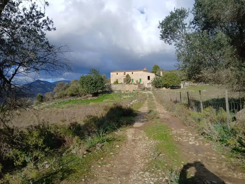 Rustic house with lots of traditional charm, located in Mancor de la Vall (Mallorca). — photo 4
