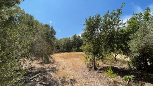 Building Site - Calvià (Santa Ponça) — photo 12