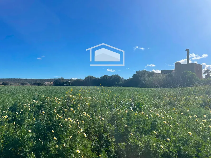 Rustic finca of 661 m² built to renovate on a large plot between Ses Salines and Campos — photo 5