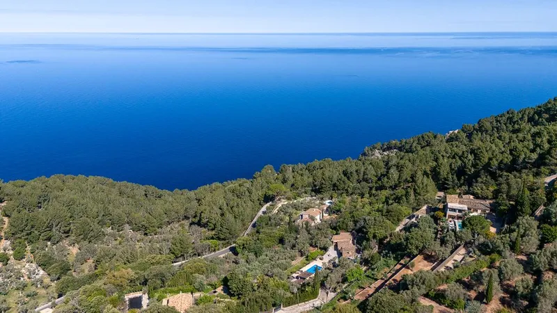 Farm in Valldemossa, Province of Balearic Islands — photo 2