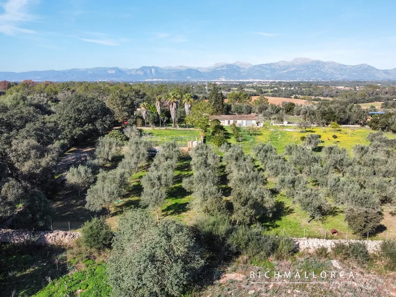 Exceptional Rustic Estate with Building Potential in Costitx — photo 12