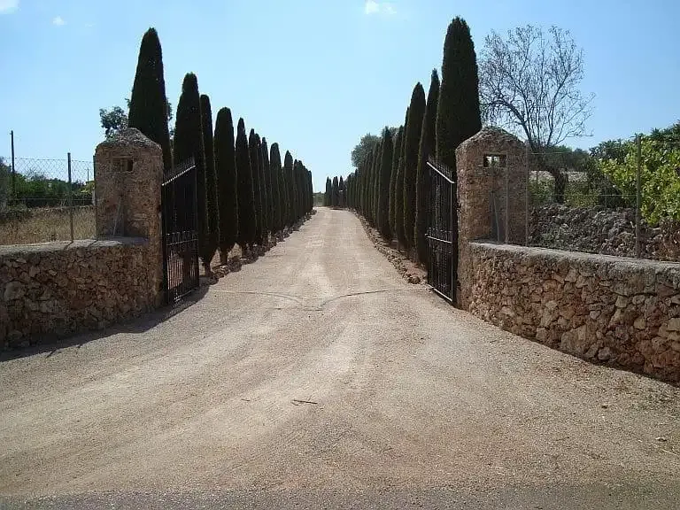 Don't miss the opportunity to live in the countryside, surrounded by nature on a magnificent rustic estate between Sencelles and Santa Eugenia — photo 9
