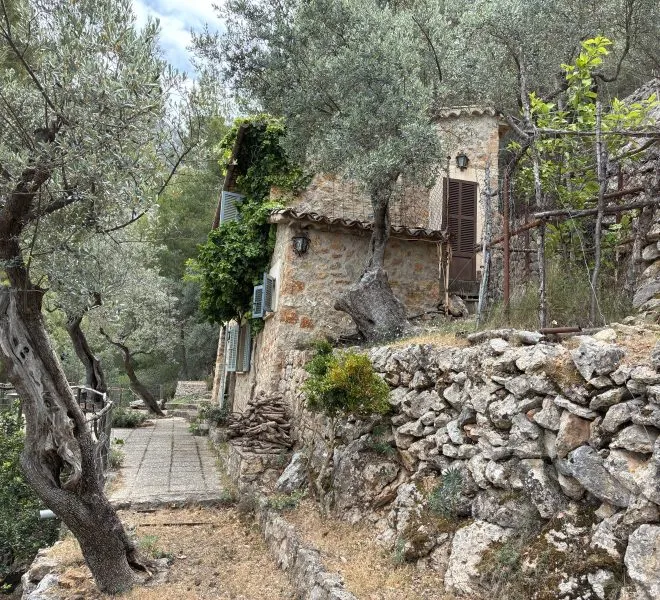 Beautiful olive grove in Ses Rotgeres with views over the valley — photo 1