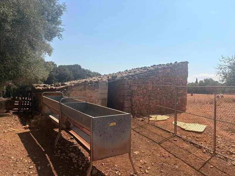 FINCA RUSTICA CON CASITA AGRARIA DE UNOS 34M2 CON CISTERNA — photo 5