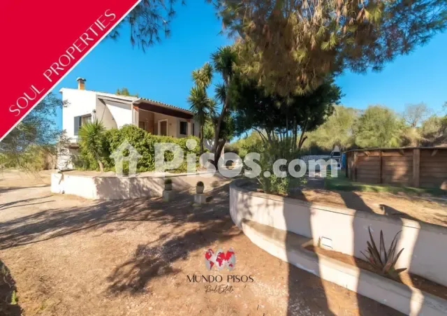 Rustic finca in Montuiri — photo 1