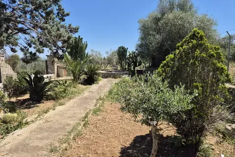 Finca in Selva, Mallorca — photo 4