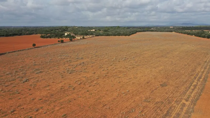 Large plot with beautiful construction project of a Finca in Campos — photo 4