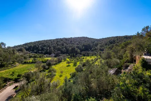 Santa Eugenia, historic rustic finca with panoramic views in Coves to renovate — photo 3