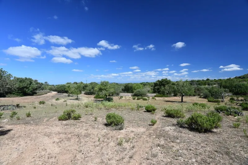 Beautiful hillside plot with panoramic views near Cas Concos - Es Carritxo — photo 4