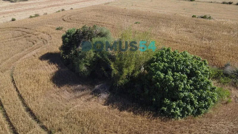 plot in Muro — photo 7