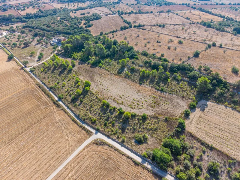 Buildable plot of 29,547 m² with open views in Petra — photo 7