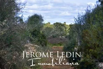Spectacular building land with project and license near Es Llombards — photo 1