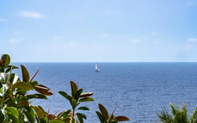 Family villa with large pool and home office potential near the coves of Cala Murada – PM07386 — photo 2