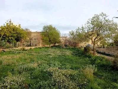 Building Site - Santanyí (Alquería Blanca - Calonge) — photo 7