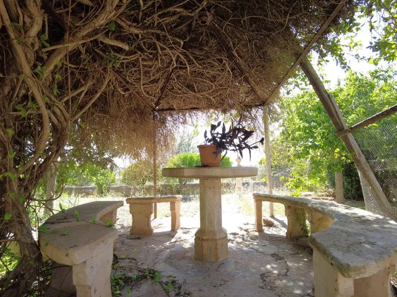 Rural or Farmhouse in Santa Eugènia, Province of Balearic Islands — photo 5
