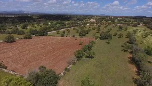 Urbanizable land - Felanitx (SHorta - Cas Concos des Cavaller) — photo 2