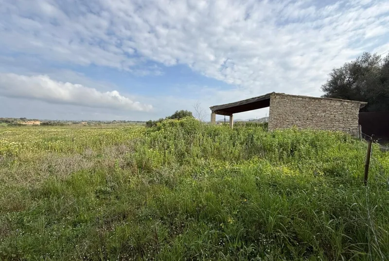 Finca with small house between Manacor and Felanitx — photo 6