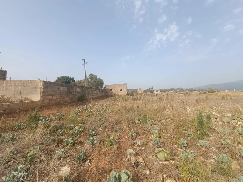 Plot of land - Búger (Buger), Built Surface 338m², Plot Surface 35000m² — photo 4