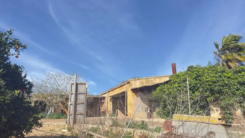 Rustic finca with its own well and 14,186 m² of land in Muro — photo 11