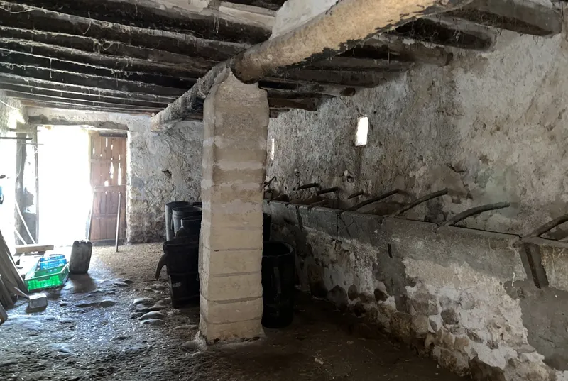 Rustic estate of 58 ha in Vilafranca — photo 8