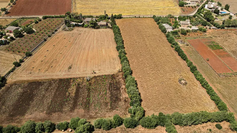 Unique plot of over 17,000 m² – Build your project in Mallorca — photo 11