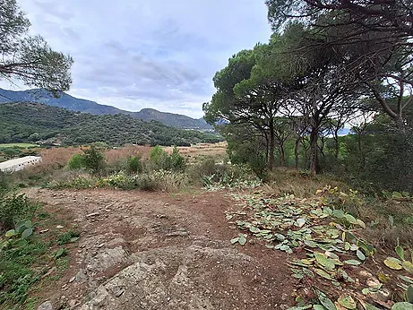 Rustic property for sale in Port de la Selva — photo 3