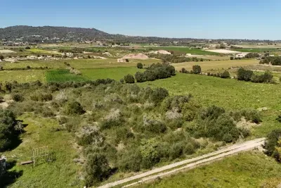 Rustic Land in Vilafranca de Bonany — photo 1